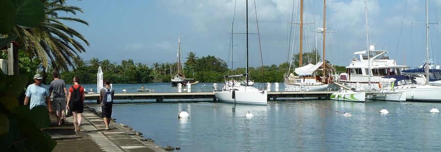 pointe a pitre